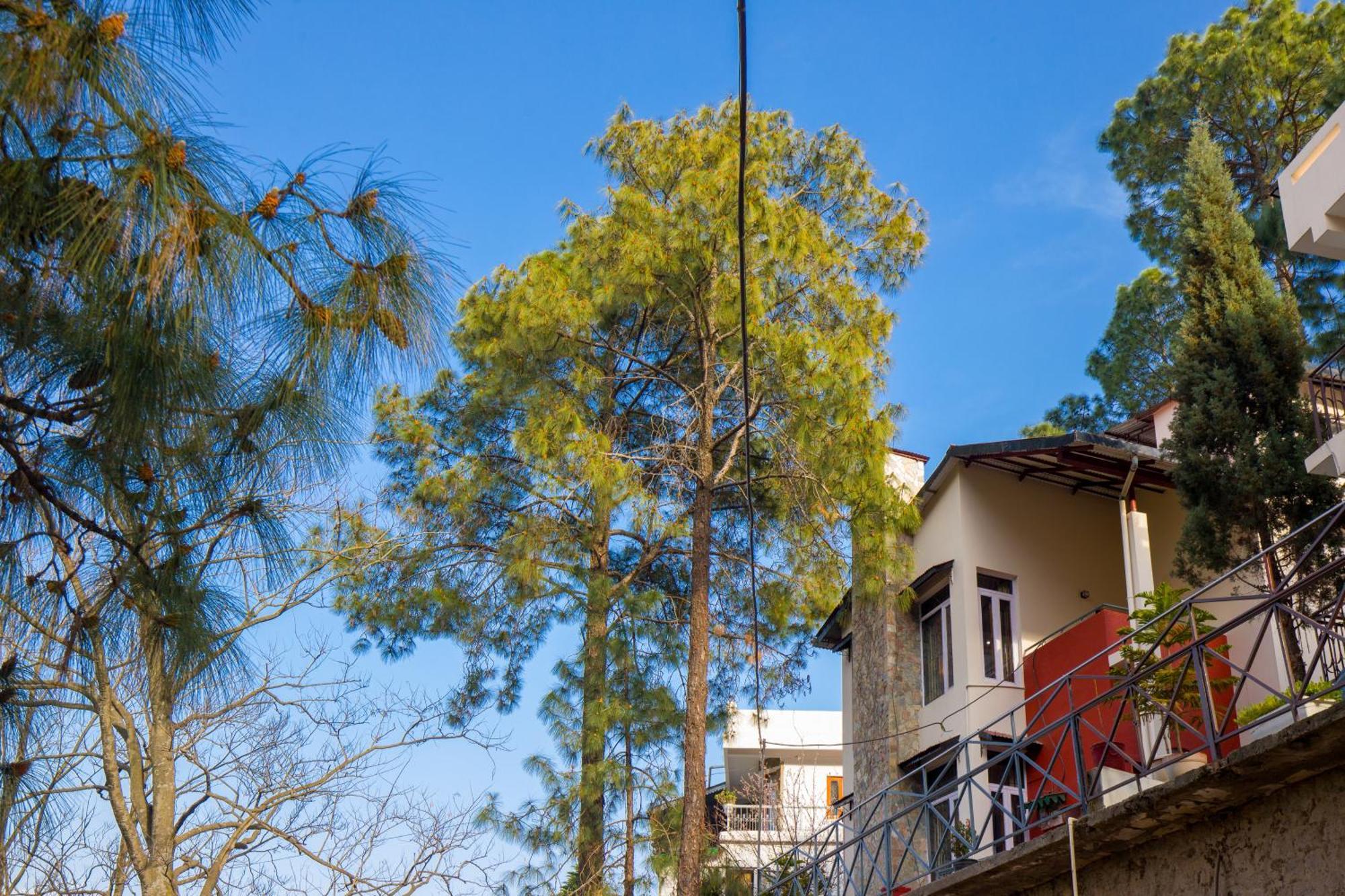 Alaya Stays Mehar Villa - 3 Bhk With Garden & Scenic Views Kasauli Bagian luar foto